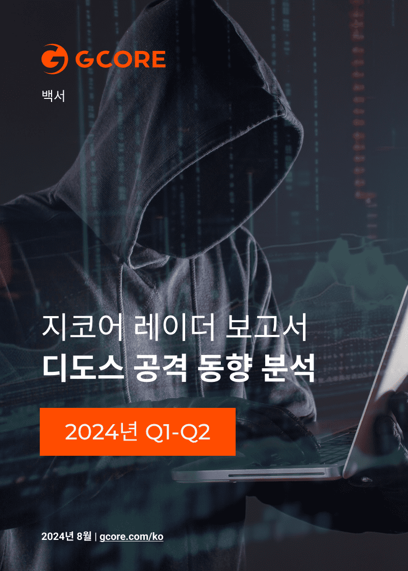 지코어 레이더 보고서 디도스 공격 동향 분석 | 2024년 Q1-Q2